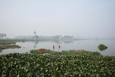 2016年、コルカタでの湿地漁（写真） 作： Jon Nicholson