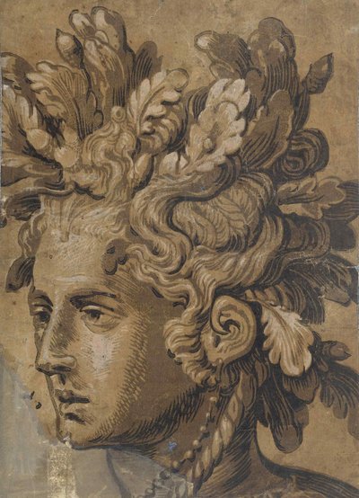 フランス・フロリスの後のドライアドの頭、1555年頃。 作： Joos van Gietleughen