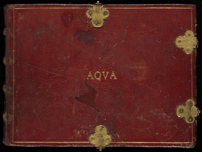 Animalia Aqvatilia et Conchiliata (Aqva)、ボリューム III 作： Joris Hoefnagel