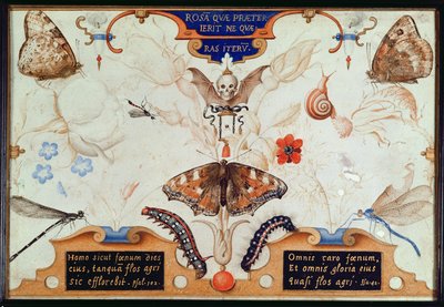 花と昆虫が入った二連祭壇画、1591年（パネル上の迷彩と羊皮紙） 作： Joris Hoefnagel