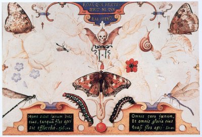花と虫のいる二連祭壇画、1591年。 作： Joris Hoefnagel