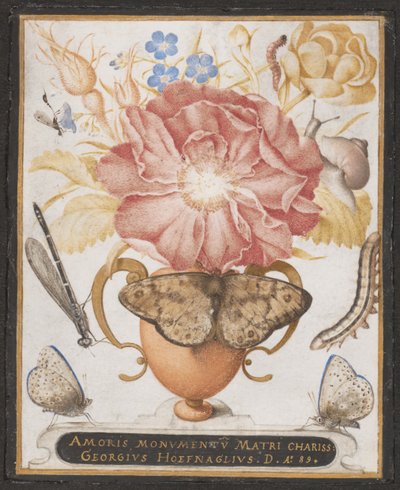 花のある静物、カタツムリ、昆虫、1589年。 作： Joris Hoefnagel