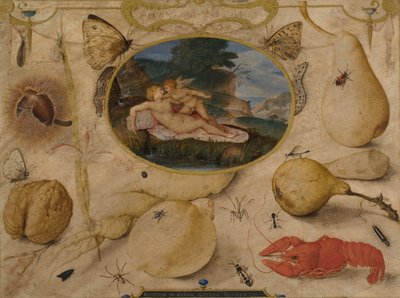 金星が植物、果物、昆虫、貝に囲まれた円形浮彫りでアモールを武装解除するc。 1595（トイレとボディカラー） 作： Joris Hoefnagel