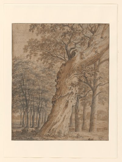 森の中の古い樫の木 作： Joris van der Haagen