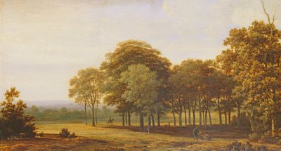 森の道 作： Joris van der Haagen or Hagen