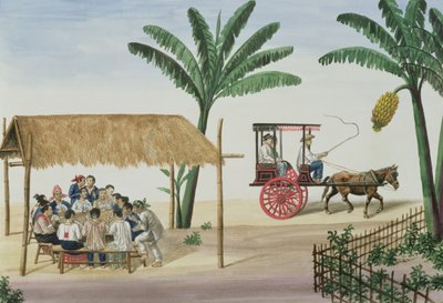 不明な画像 作： Jose Honorato Lozano