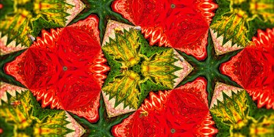 Criaturas: Abelhas no Roseiral 作： Josef Johann Michel