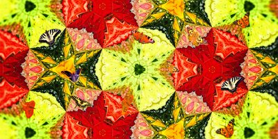 Criaturas: borboletas no jardim de rosas 作： Josef Johann Michel