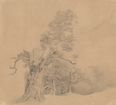  作： Josef Kriehuber
