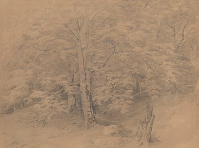  作： Josef Kriehuber