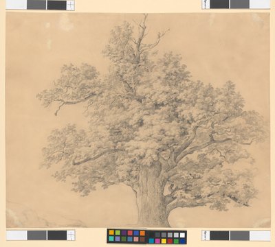  作： Josef Kriehuber