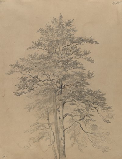 作： Josef Kriehuber
