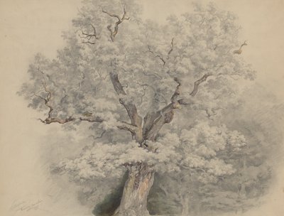  作： Josef Kriehuber