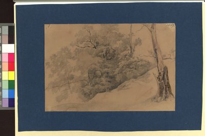 Landschaftsstudie 作： ヨーゼフ・クリフバー