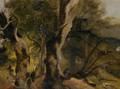 Waldstudie 作： Josef Navrátil