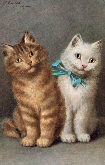 猫のポストカード（カラーリトグラフ） 作： Josef Sperlich