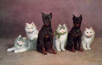 猫のポストカード（カラーリトグラフ） 作： Josef Sperlich