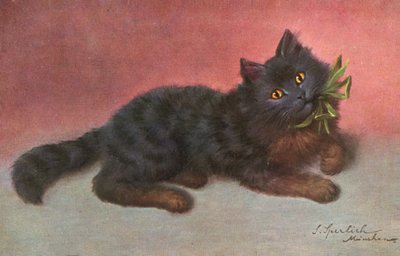 猫のポストカード（カラーリトグラフ） 作： Josef Sperlich