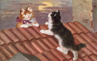 猫のポストカード（カラーリトグラフ） 作： Josef Sperlich