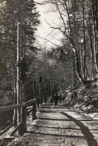 アルバム "Meine weltkriegs - Erinnerungen South-West Front (Carinthia, Italien, South Tyrol) (私の世界の戦争-南西戦線の思い出（カリンシア、イタリア、トレンティーノ・アルト・アディジェ）1915年3月31日-1918年11月19日 - Josef Zohles Wien ": 兵士たちの作業風景（モノクロ写真 作： Josef Zohles