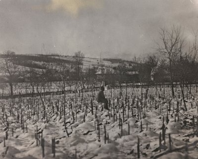 アルバム「Meine weltkriegs - Erinnerungen South-West Front (Carinthia, Italien, South Tyrol) (私の世界大戦-南西戦線の記憶（カリンシア、イタリア、トレンティーノ・アルト・アディジェ）1915/03/1931-12/11/1918 - Josef Zohles Wien ": 軍人墓地（白黒写真 作： Josef Zohles