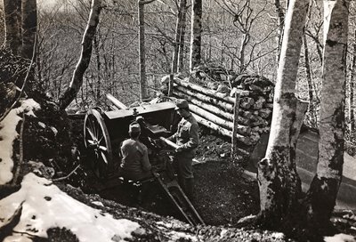 アルバム "Meine weltkriegs - Erinnerungen South-West Front (Carinthia, Italien, South Tyrol) (私の世界大戦-南西戦線の記憶（カリンシア、イタリア、トレンティーノ・アルト・アディジェ）1915年3月31日-1918年11月19日 - Josef Zohles Wien ": 大砲を持った兵士たち（モノクロP 作： Josef Zohles