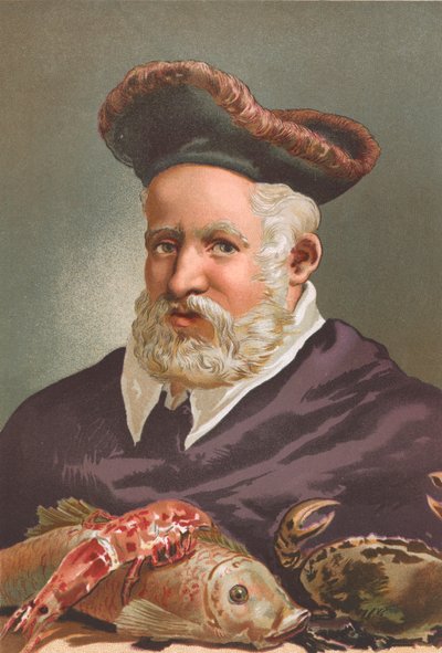 ギヨーム・ロンデレ 作： Josep or Jose Planella Coromina