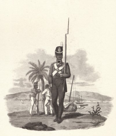 第5西インド連隊の民間人、c1812 1909 作： Joseph Constantine Stadler