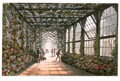 温室の回廊 1808年 作： Joseph Constantine Stadler