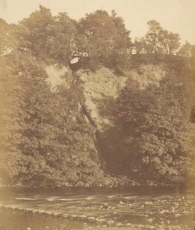 ボルトン プライオリー飛び石（1850年代 作： Joseph Cundall