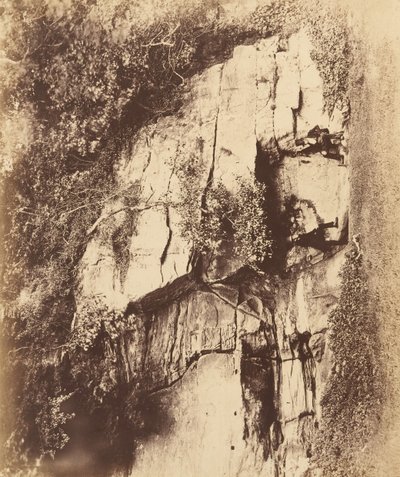 ファウンテンズ修道院。 エコーロック、1850年代。 作： Joseph Cundall