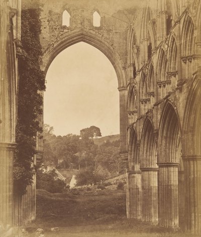 リヴォー修道院。 合唱団の内部、1850 年代。 作： Joseph Cundall
