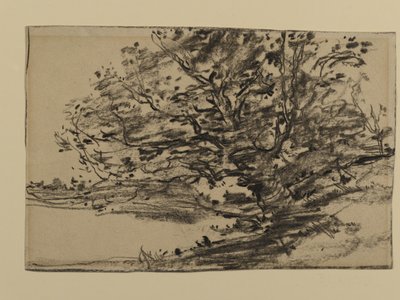 木の研究、1870年（紙に黒鉛） 作： Joseph Frank Currier