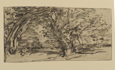 木の研究、1870年（紙に黒鉛） 作： Joseph Frank Currier