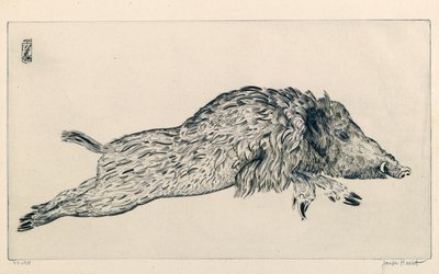 Javali (Le Sanglier) (gravura) 作： Joseph Hecht