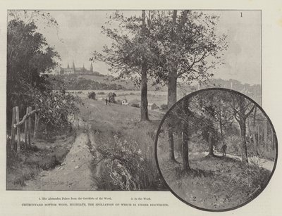 Churchyard Bottom Wood、Highgate、そのスポリエーションについて議論中 作： Joseph Holland Tringham