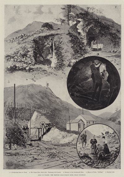 ドルゲリー近くのイギリスの金鉱山であるウェールズの金 作： Joseph Holland Tringham