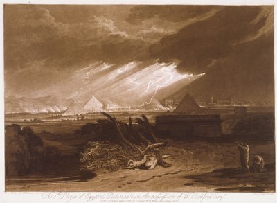 F.16.Iチャールズ・ターナーによって刻まれた「LiberStudiorum」からのエジプトの第5の疫病 作： Joseph Mallord William (after) Turner