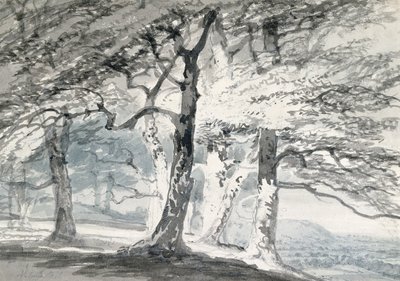 サリー州ノーベリーパーク（紙に鉛筆と水彩） 作： Joseph Mallord William (attr.to) Turner