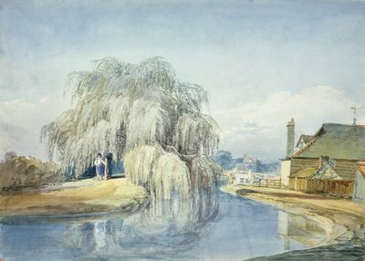 枝垂れ柳（水彩・紙） 作： Joseph Mallord William Turner