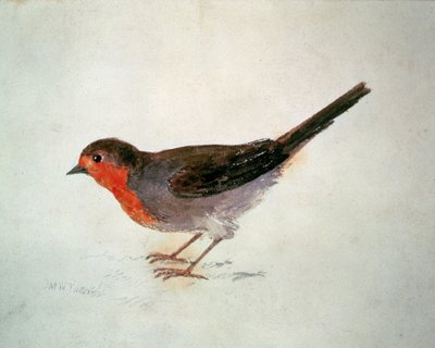 ロビン（『The Farnley Book of Birds』より）1816年頃（紙に鉛筆と水彩画 作： Joseph Mallord William Turner