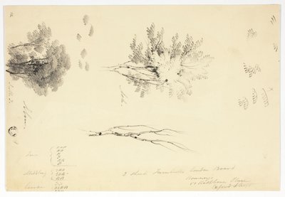  作： Joseph Mallord William Turner