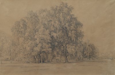 ニーダーエスターライヒ州のゼーベンシュタイン城の公園にある白樺の木のグループ 作： Joseph Martin Höger