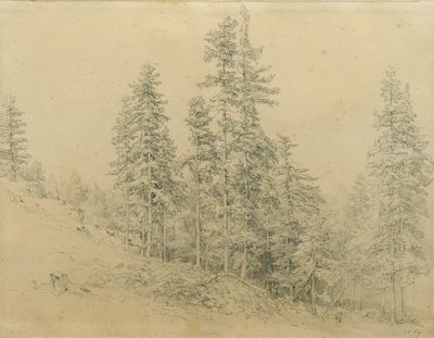 貴重な歯 作： Joseph Martin Höger