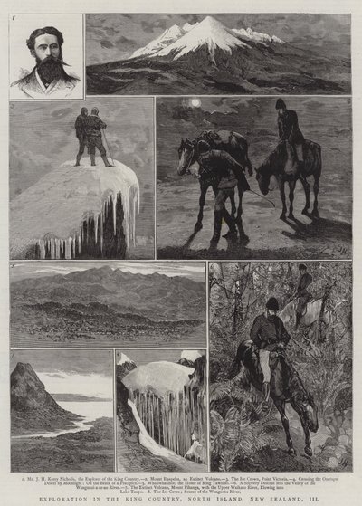 キングカントリーの探検、ニュージーランド北島、III 作： Joseph Nash