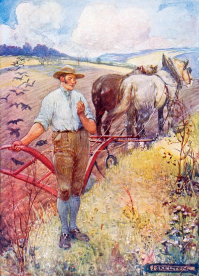 ロバート・バーンズの山のデイジーへ 作： Joseph Ratcliffe Skelton