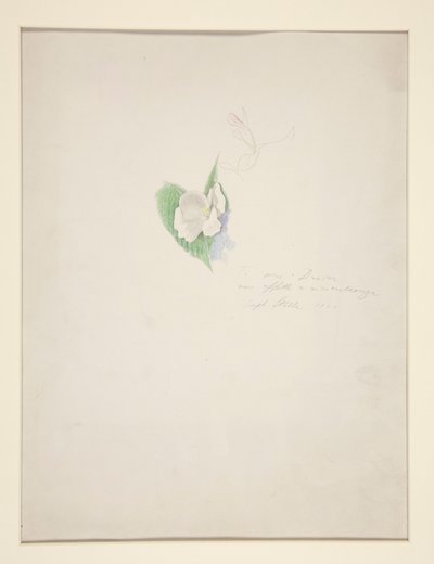 花 作： Joseph Stella
