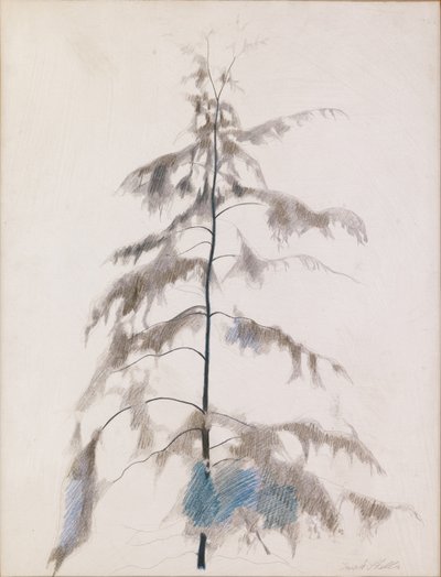松の木 作： Joseph Stella