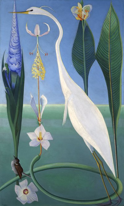 白鷺 作： Joseph Stella