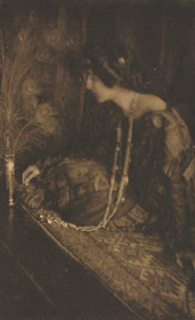 カメラワーク：レノア 作： Joseph T. Keiley
